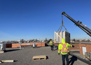 AM Wholesale Meats Ltd